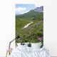 Les Centaurees Domine La Wall Mural