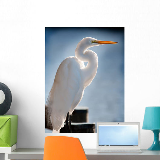 White Egret Dock