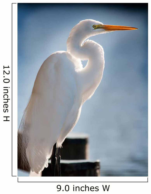 White Egret Dock
