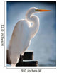 White Egret Dock