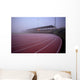 stadium Wall Mural