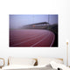 stadium Wall Mural