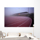 stadium Wall Mural
