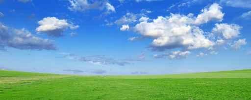 Field Wall Decal