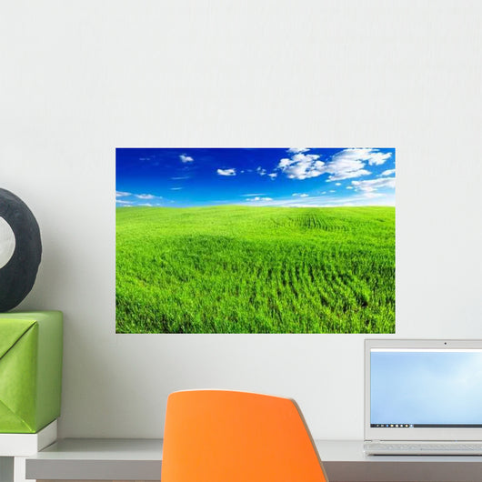Spring Field Wall Decal