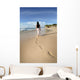 bali Wall Mural