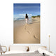 bali Wall Mural