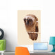 Young Long-eared Owl Wall Decal