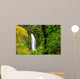 Dominican Rainforest Waterfall Wall Mural