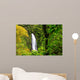 Dominican Rainforest Waterfall Wall Mural