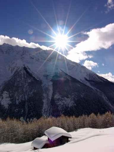 Winter Landscape Wall Decal Design 4