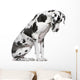 Great Dane Harlequin sitting in front of white background Wall Decal