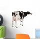 Holstein Cow Wall Decal
