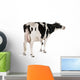 Holstein Cow Wall Decal