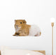 Guinea Pig in Front of White Background Wall Decal