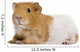 Guinea Pig in Front of White Background Wall Decal