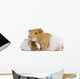 Guinea Pig and Her Baby Wall Decal