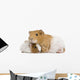 Guinea Pig and Her Baby Wall Decal