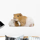 Guinea Pig and Her Baby Wall Decal