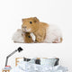 Guinea Pig and Her Baby Wall Decal