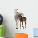 Mare and Her Foal Wall Decal