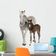 Mare and Her Foal Wall Decal