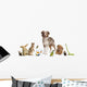 Group Pets Together Front