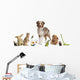 Group Pets Together Front
