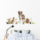 Group Pets Together Front