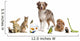 Group Pets Together Front
