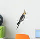 Cockatiel Nymphicus Hollandicus Perched Wall Decal