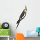 Cockatiel, Nymphicus hollandicus, perched Wall Decal