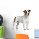 Jack Russell Terrier 15 Wall Decal