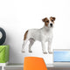 Jack Russell Terrier 15 Wall Decal