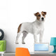 Jack Russell Terrier 15 Wall Decal