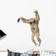 Young Pileated Gibbon Hylobates Pileatus Wall Decal