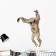 Young Pileated Gibbon Hylobates Pileatus Wall Decal