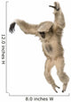 Young Pileated Gibbon Hylobates Pileatus Wall Decal