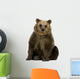Brown Bear Wall Decal