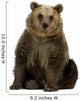 Brown Bear Wall Decal