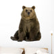 Brown Bear Wall Decal