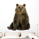 Brown Bear Wall Decal