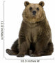 Brown Bear Wall Decal