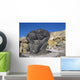 Vulcan Wall Decal