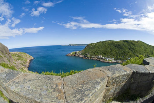 View from Signal Hill, St. John's, Newfoundland Wall Mural
