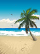 Tropical beach Wall Mural
