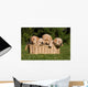 Labrador Puppies in Basket Wall Mural
