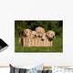 Labrador Puppies in Basket Wall Mural