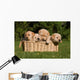 Labrador Puppies in Basket Wall Mural