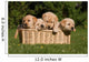 Labrador Puppies in Basket Wall Mural